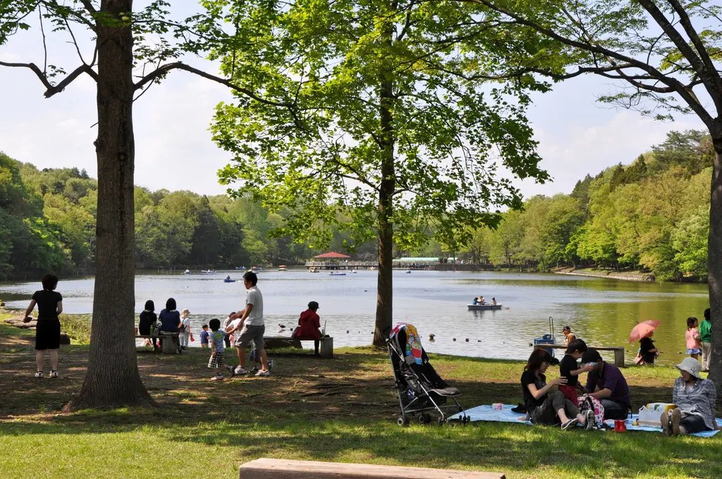 🌳 이가시라 공원 (이가시라 코우엔) 이미지 6